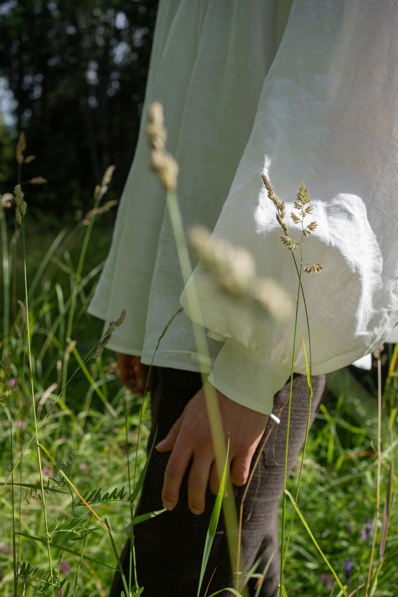 The Darcy Shirt - Folk Tale Version